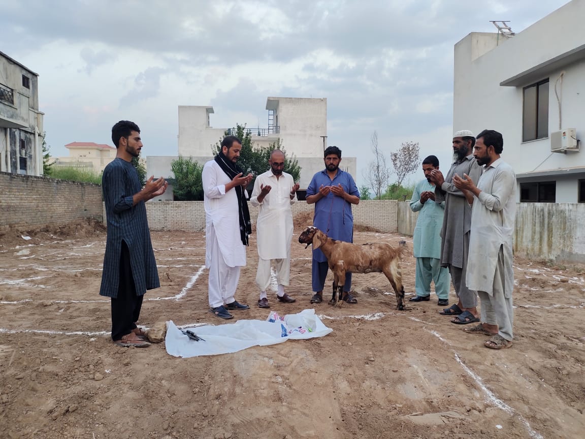 ©  Arise Builders & Developers